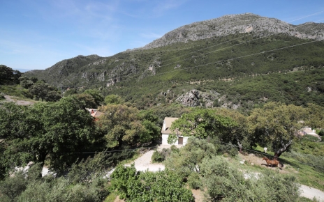 You are not overlooked